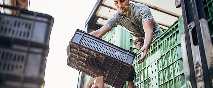 Como evitar o desperdício na indústria varejista e de alimentos | WCA
